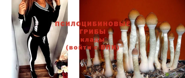 герыч Бронницы