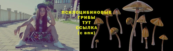 гидропоника Ижевск
