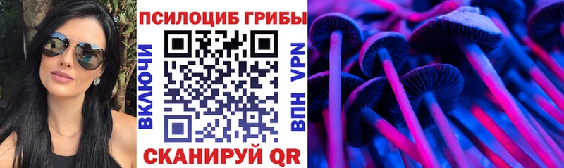 закладка  Вышний Волочёк  Псилоцибиновые грибы Magic Shrooms 