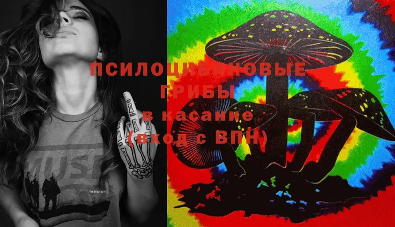 цена   Вышний Волочёк  Галлюциногенные грибы Magic Shrooms 